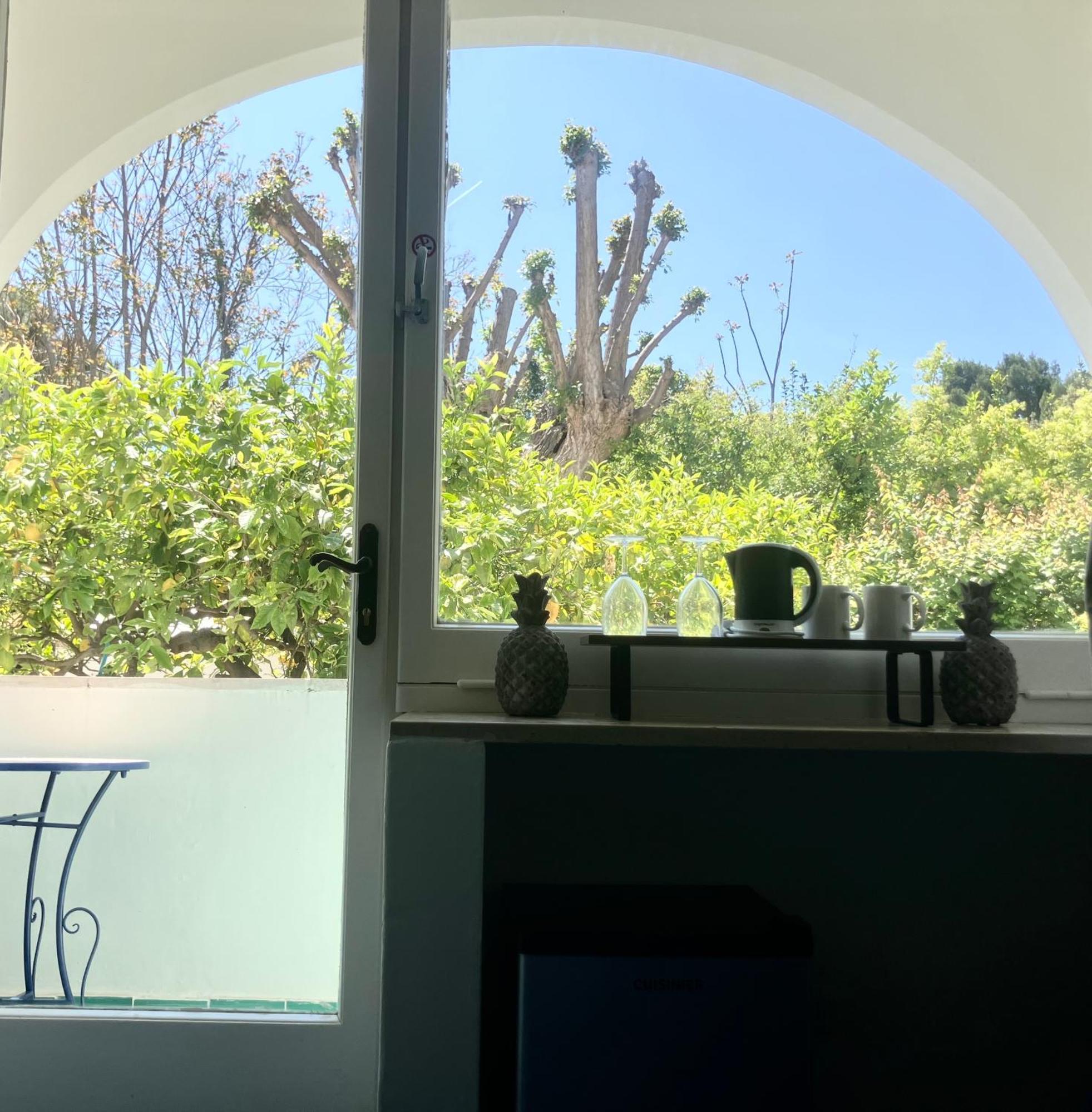 Villa Striano Capri - Guest House - Rooms Garden&Art Exterior foto
