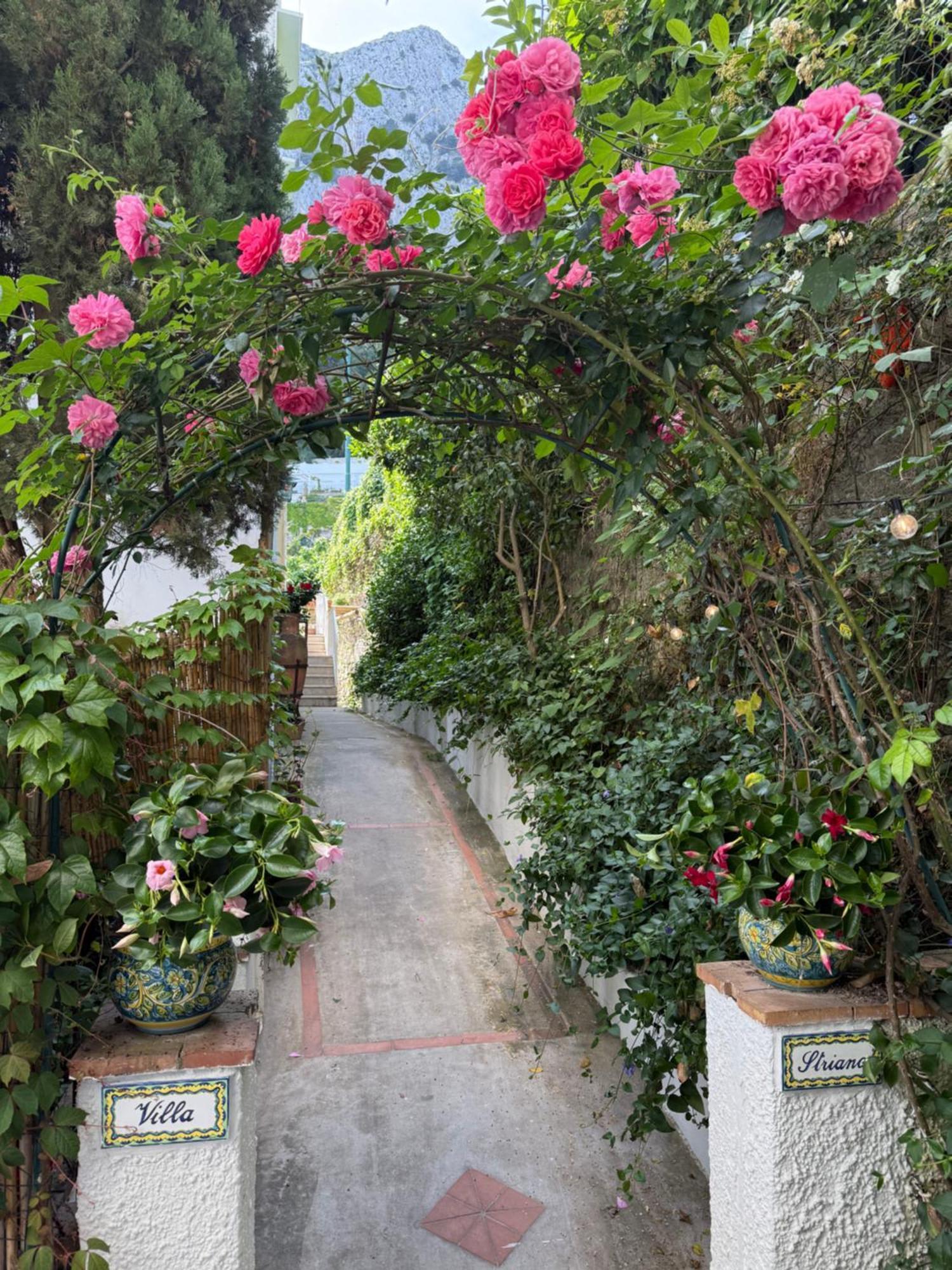 Villa Striano Capri - Guest House - Rooms Garden&Art Exterior foto